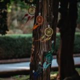 Rainbow chandelier | 彩虹吊燈