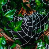 Crystel in the Woods | 森林裡的水晶 - Image 10