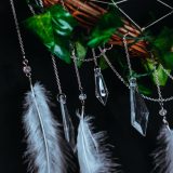 Crystel in the Woods | 森林裡的水晶 - Image 5