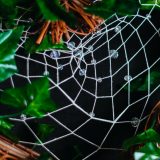 Crystel in the Woods | 森林裡的水晶 - Image 8