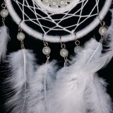 Luminous White | 夜光白 - Image 5