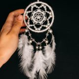 White Star | 白星 - Image 2